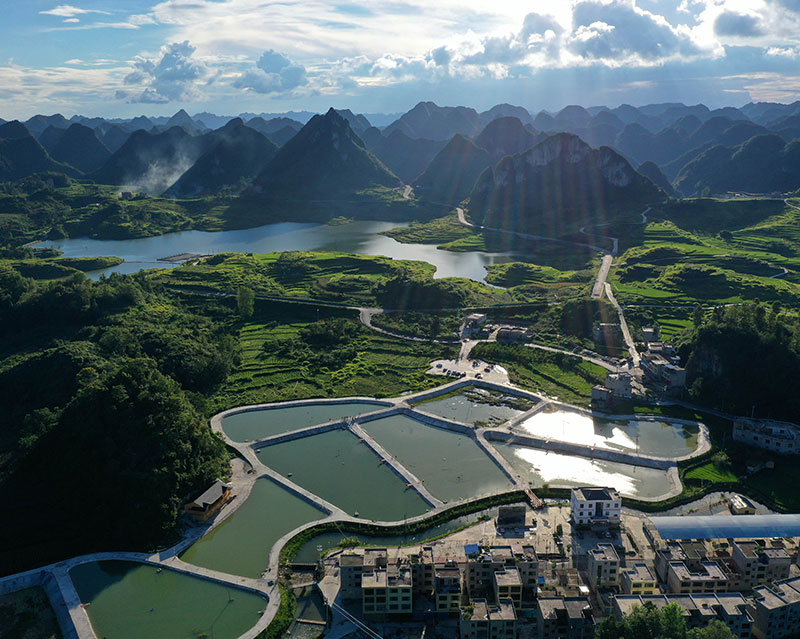集体建设用地的供地主体