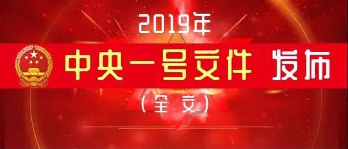 重磅！2019年中央一号文件发布