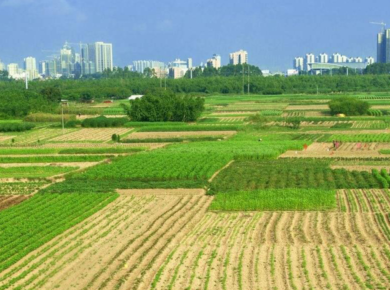 “片区开发”与“土地出让”