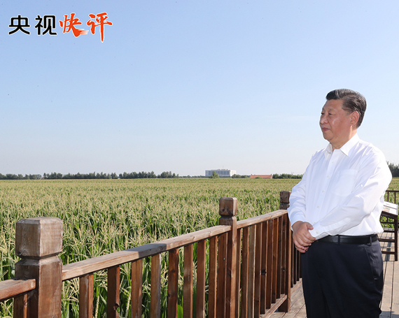 央视快评：抓住实施乡村振兴战略的重大机遇