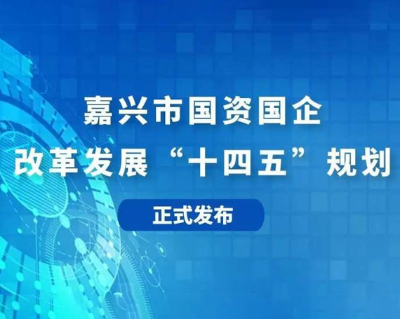嘉兴市国资国企改革发展“十四五”规划发布