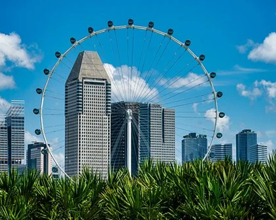 南阳出台《南阳市中心城区城市更新提质建设三年行动计划》